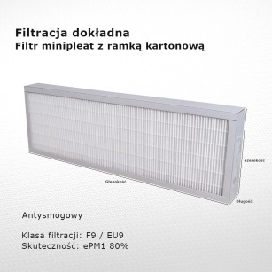 Smog filter F9 EU9 ePM1 80% 245 x 500 x 22 mm frame cardboard
